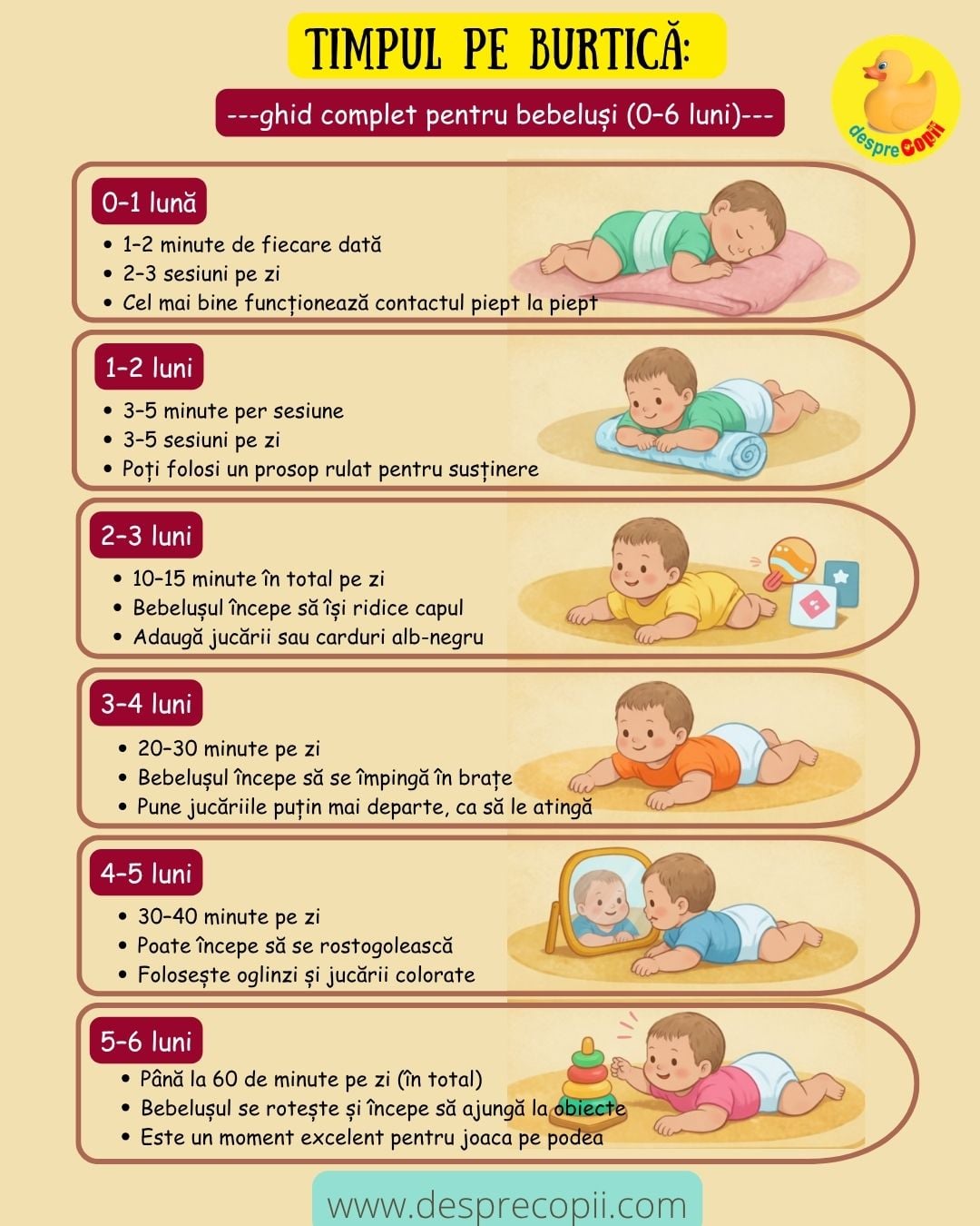 statul pe burtica bebe ghid